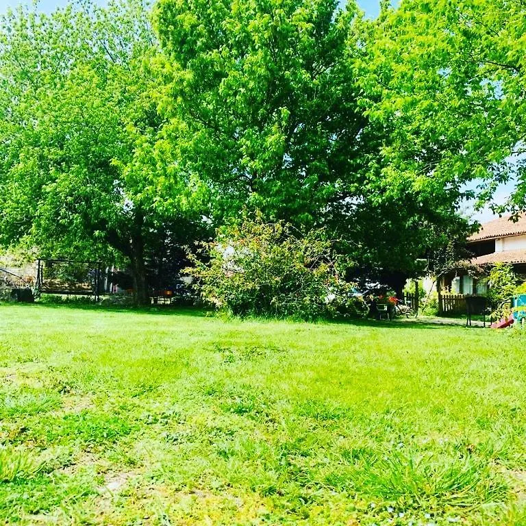 Villa Agriturismo La Pace Valeggio sul Mincio Bauernhof