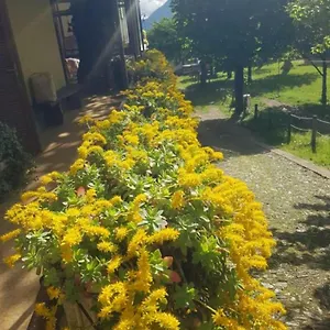 Castagno 1 Sentiero Del Viandante Bellano